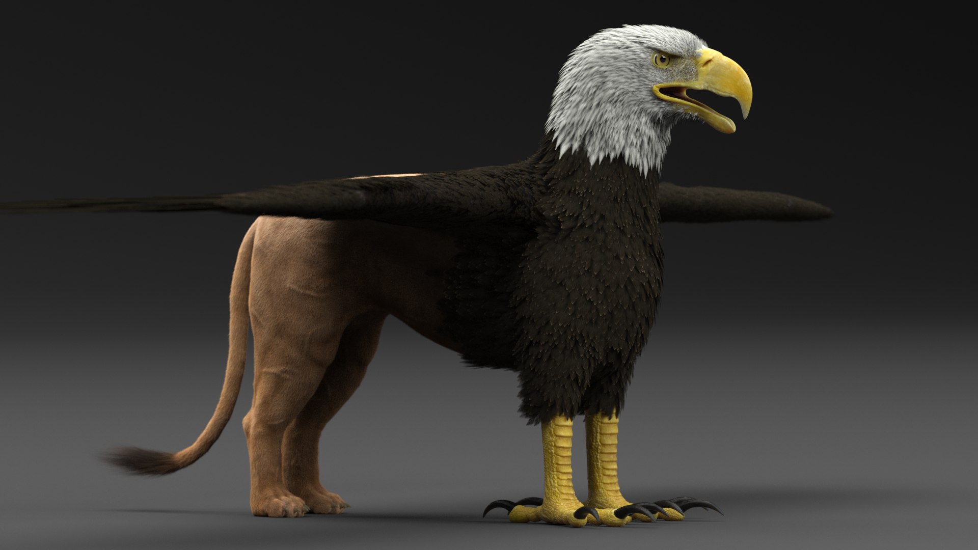 gryphon 3D model https://p.turbosquid.com/ts-thumb/mG/YLf6tE/ztD0lLet/priw_3/png/1574196753/1920x1080/fit_q87/8f8cad3dc51162b39864faaf3930d31f79437cfa/priw_3.jpg
