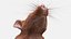 Realistic Lifelike Rodent Rat Standing