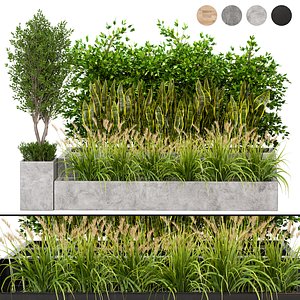 Outdoor Plants set 02 model