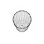 Glass Series / Highball Glass