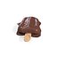 Fudgesicle 3