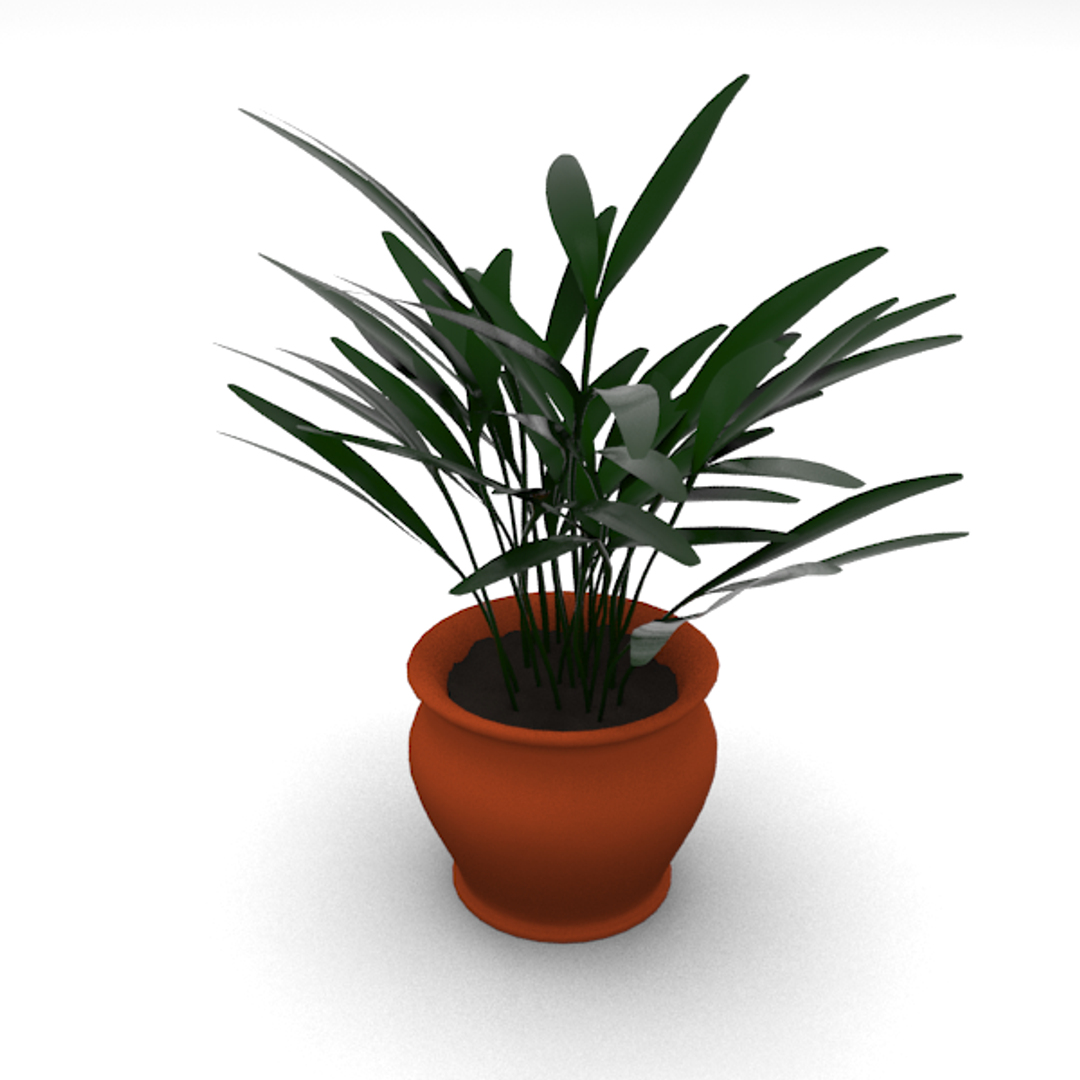 3D Plant - TurboSquid 517240