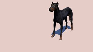 3D doberman dog