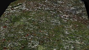 forest terrain bush ground patch pt1 PBR photogrammetry model