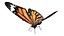 butterfly bug fly 3D model