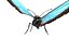 butterfly bug fly 3D model