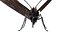 butterfly bug fly 3D model