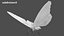 butterfly bug fly 3D model