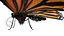 butterfly bug fly 3D model