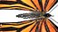 butterfly bug fly 3D model