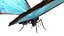 butterfly bug fly 3D model