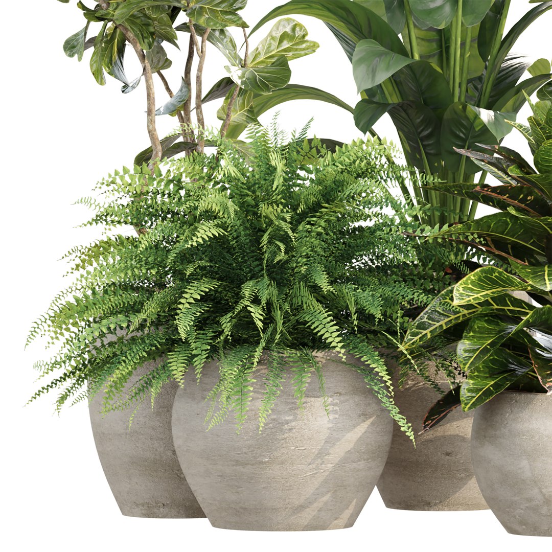 Indoor Pot Plants Collection 546 3D model https://p.turbosquid.com/ts-thumb/mG/zq19xW/ur/3/jpg/1790021921/1920x1080/fit_q87/cb17e73de40d535966aa873c291eb5b0f8bace34/3.jpg