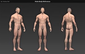 male human body reference 3d obj