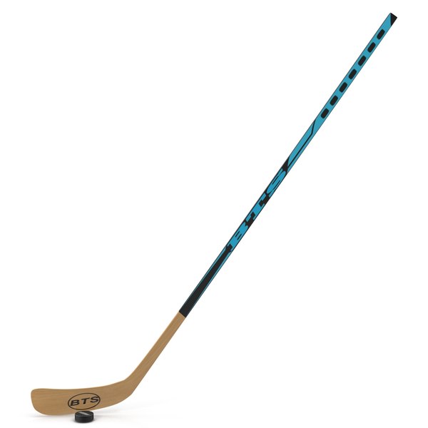 3d model of hockey stick puck