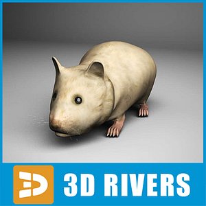 3d hamster animals model