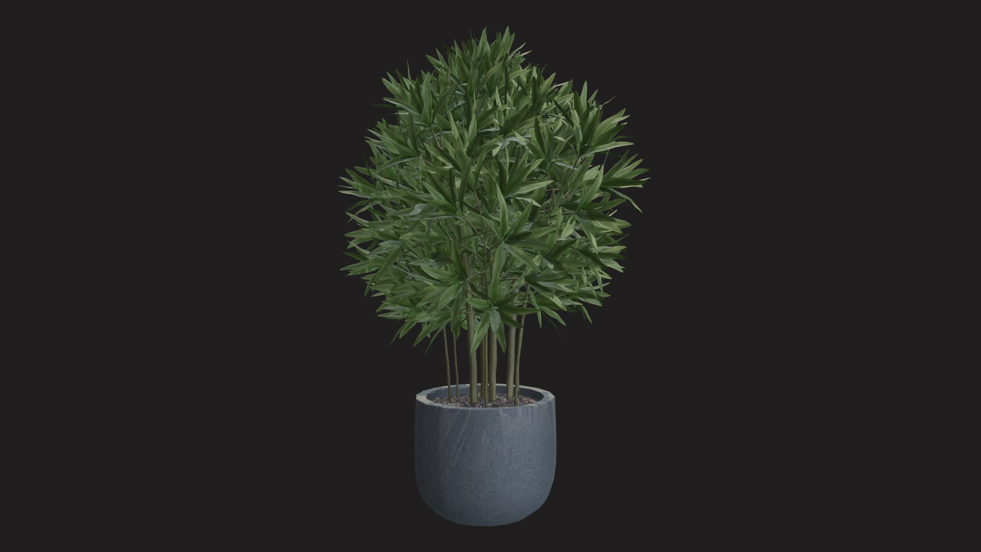 3D indoor plant dracaena 3d model for unity https://p.turbosquid.com/ts-thumb/mH/MY8KSv/11/tbrender_004/png/1733858543/1920x1080/fit_q87/467f461ab48c9e46967ed0a06fee4b2969c7118c/tbrender_004.jpg