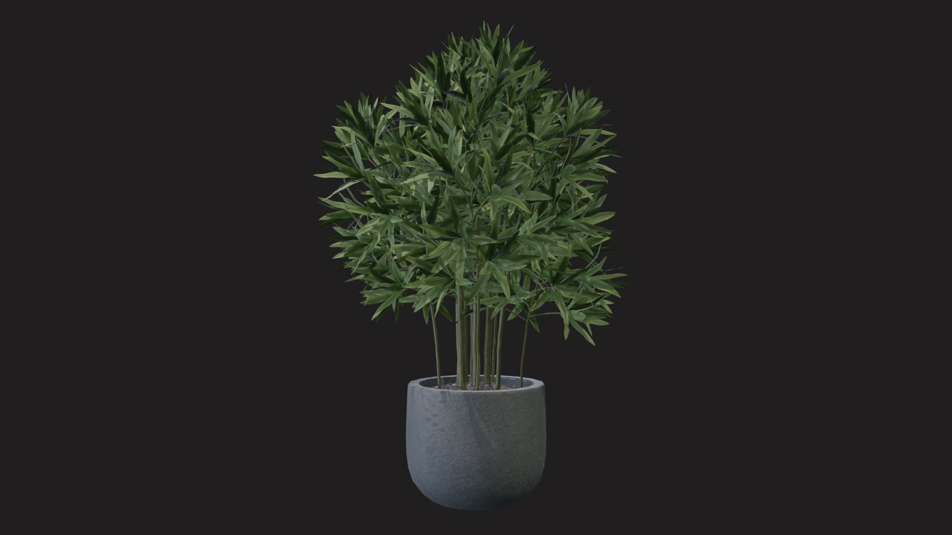 3D indoor plant dracaena 3d model for unity https://p.turbosquid.com/ts-thumb/mH/MY8KSv/8Z/tbrender_011/png/1733858547/1920x1080/fit_q87/e664a8bf9b4051be32bd69604643ad57710a2b5c/tbrender_011.jpg
