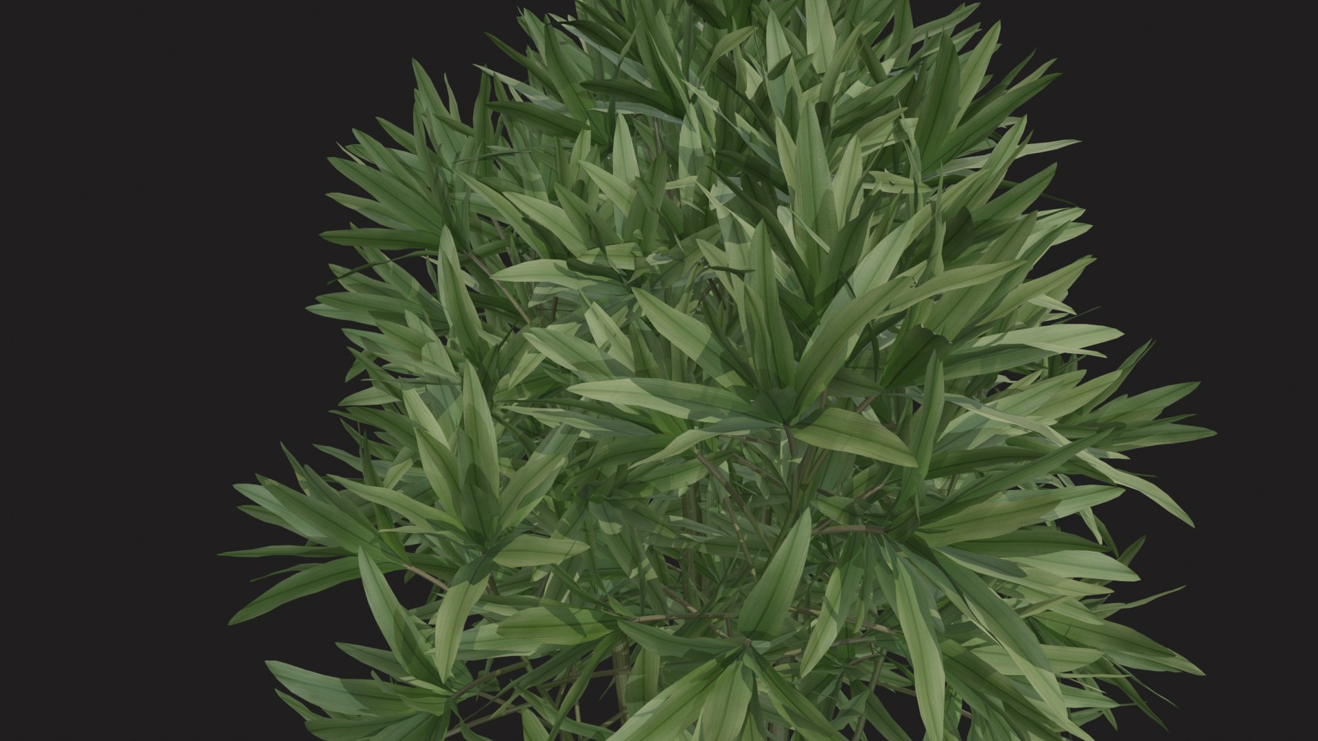 3D indoor plant dracaena 3d model for unity https://p.turbosquid.com/ts-thumb/mH/MY8KSv/T3/tbrender_013/png/1733858548/1920x1080/fit_q87/6b6a14fd7e9e78acea6512bec9cf40c85a8896c2/tbrender_013.jpg