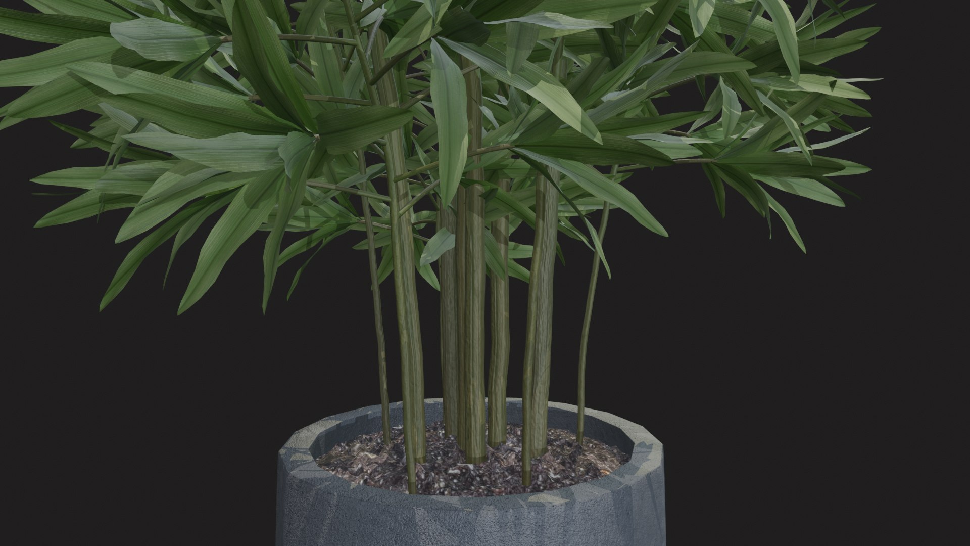 3D indoor plant dracaena 3d model for unity https://p.turbosquid.com/ts-thumb/mH/MY8KSv/TG/tbrender_005/png/1733858544/1920x1080/fit_q87/b306476c7ac09955889d542c3232865fbb336144/tbrender_005.jpg