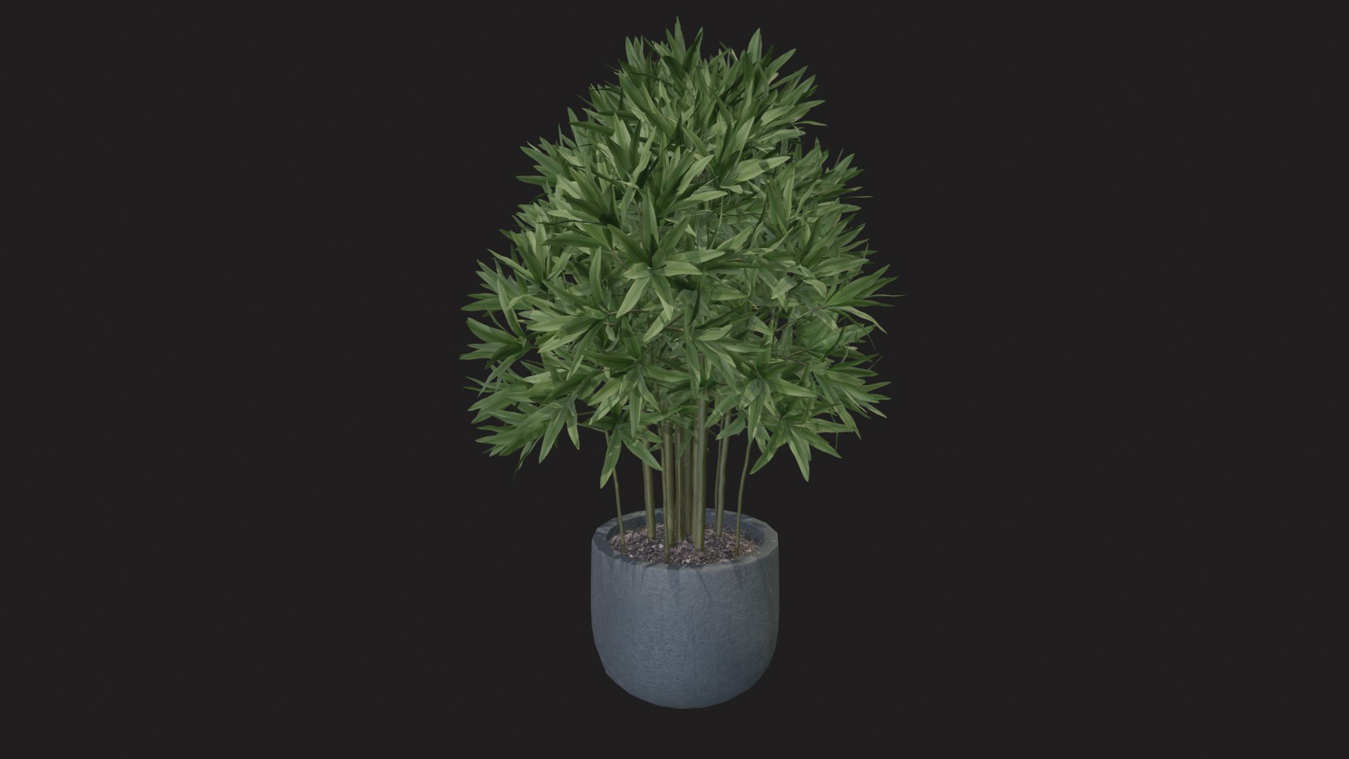 3D indoor plant dracaena 3d model for unity https://p.turbosquid.com/ts-thumb/mH/MY8KSv/VI/tbrender_002/png/1733858543/1920x1080/fit_q87/36f7a5885d9bf01af4d898d17fd4dc33487e2b99/tbrender_002.jpg