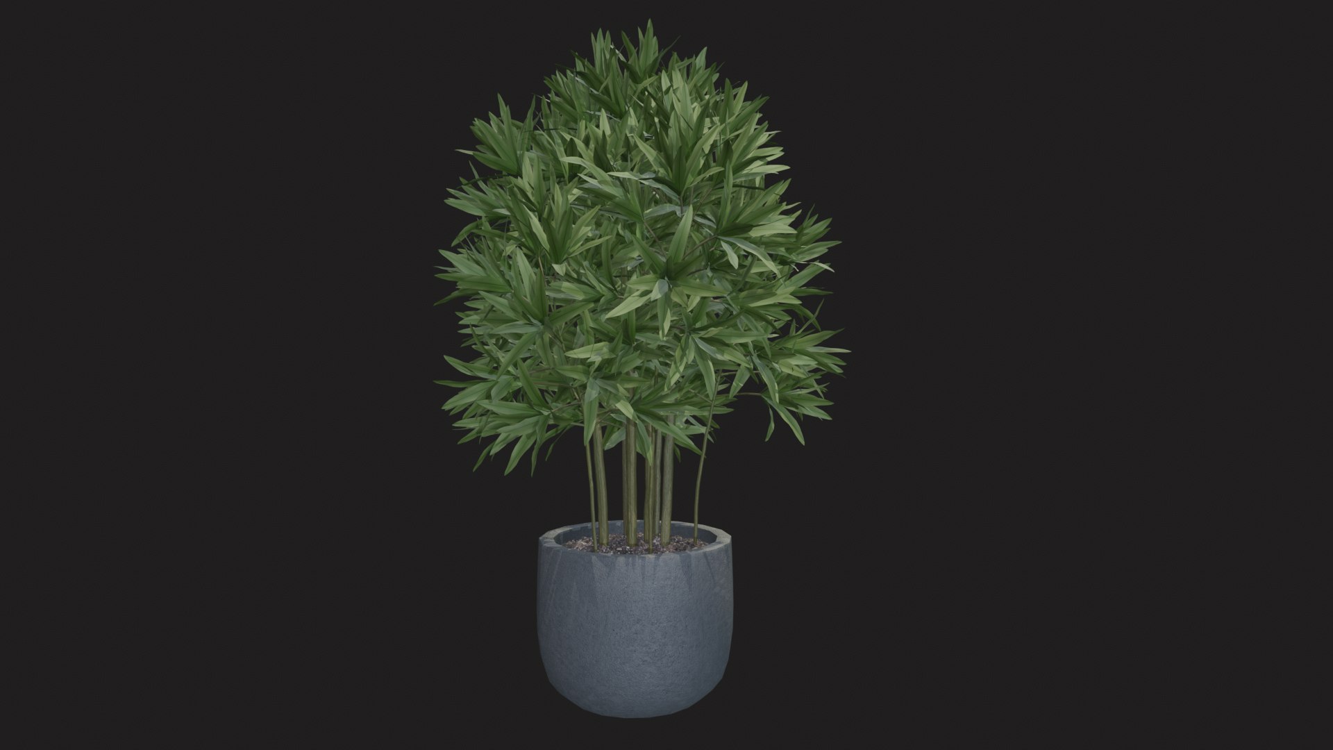 3D indoor plant dracaena 3d model for unity https://p.turbosquid.com/ts-thumb/mH/MY8KSv/XY/tbrender_010/png/1733858547/1920x1080/fit_q87/606027a7a9adab05eee7045d010f8f03e9c58d87/tbrender_010.jpg