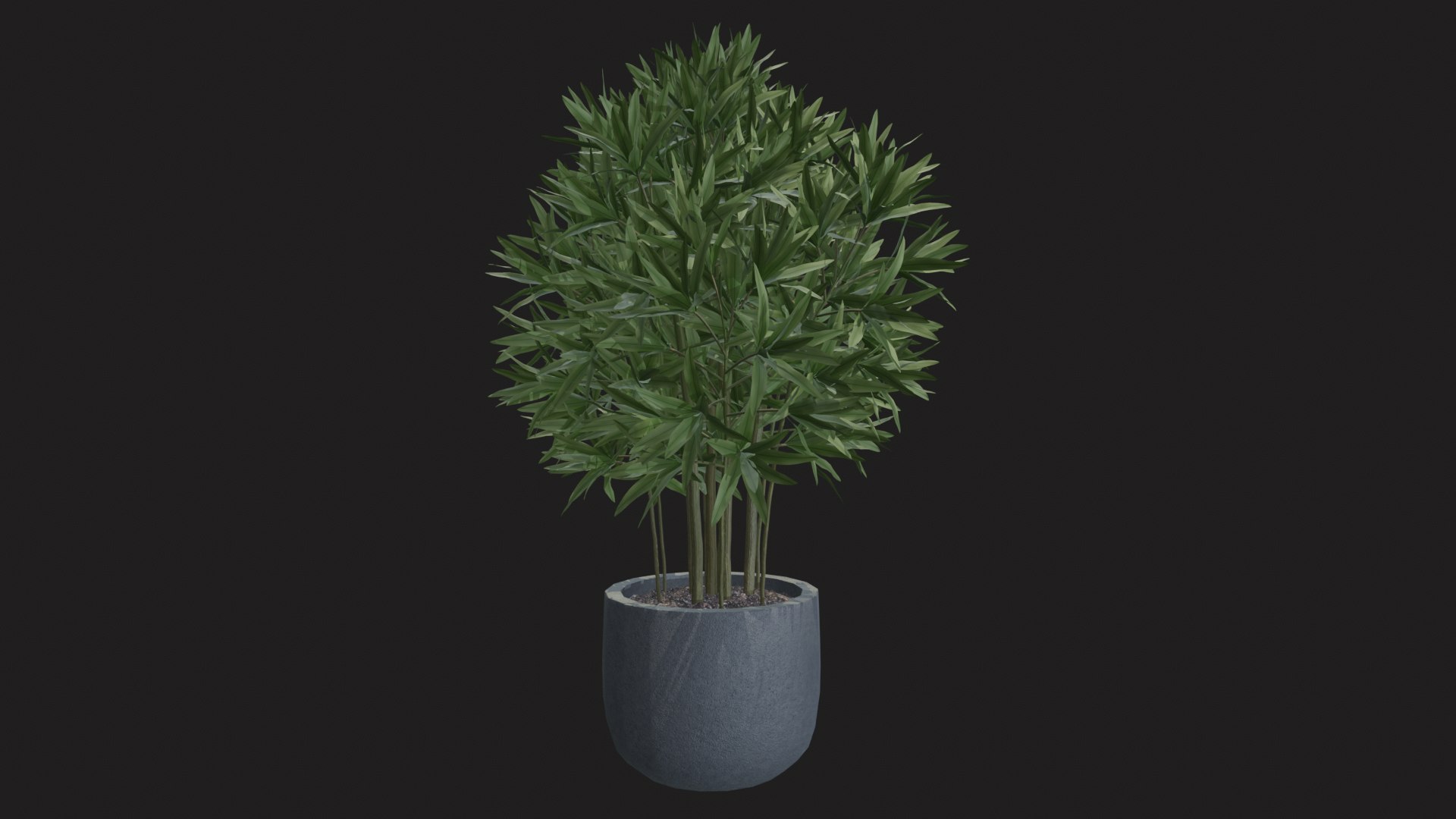 3D indoor plant dracaena 3d model for unity https://p.turbosquid.com/ts-thumb/mH/MY8KSv/as/tbrender_012/png/1733858547/1920x1080/fit_q87/53c7b13683af76185ce284f2580f8dae60d3511c/tbrender_012.jpg