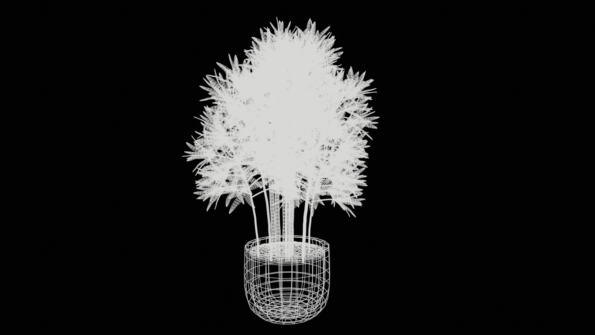 3D indoor plant dracaena 3d model for unity https://p.turbosquid.com/ts-thumb/mH/MY8KSv/i5/tbrender_wireframe_004/png/1733858549/1920x1080/fit_q87/1818b620ff6acb9d3ae7e7e1140d1009a2fd47a2/tbrender_wireframe_004.jpg