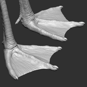 Flamingo feet