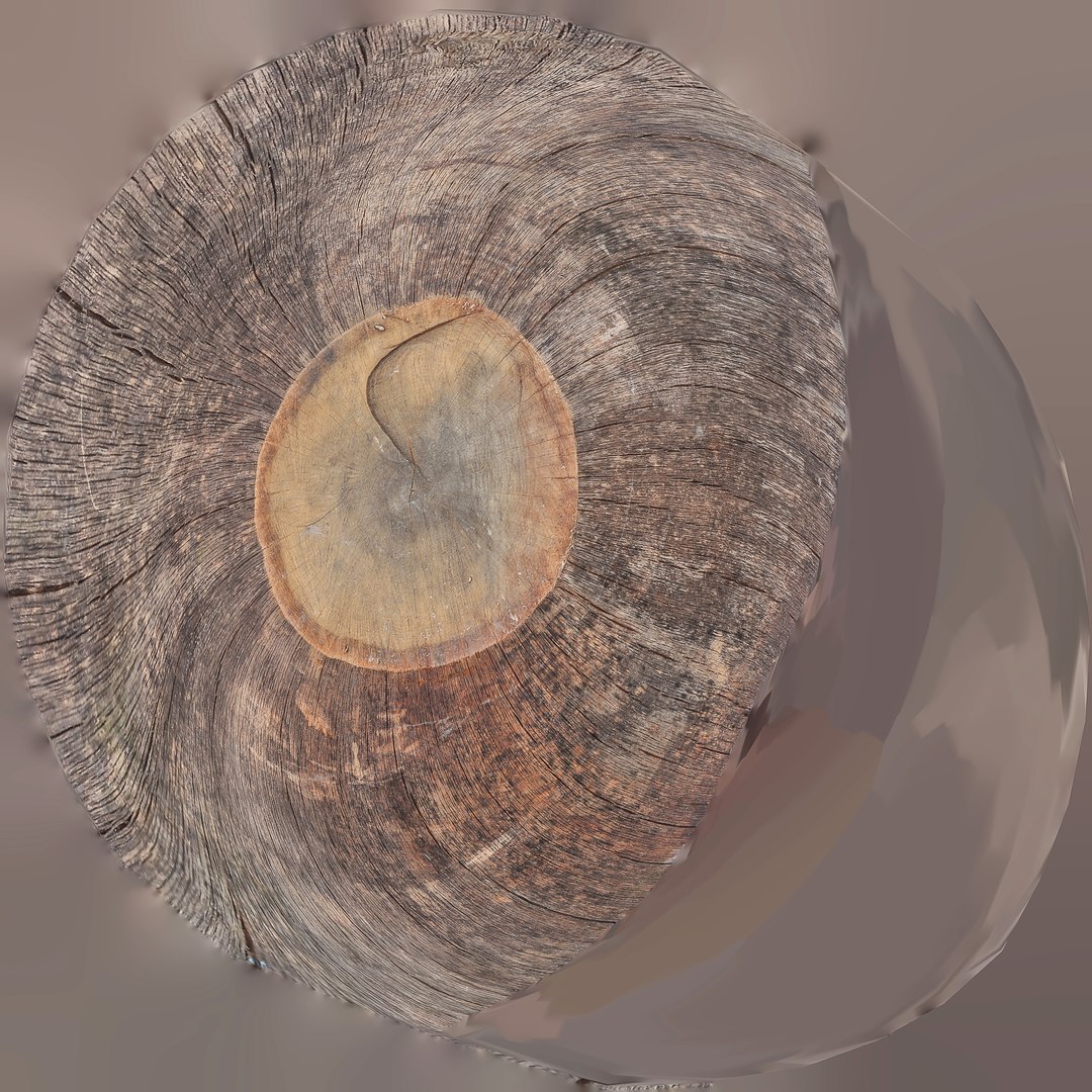 3D scanned stump model https://p.turbosquid.com/ts-thumb/mH/UK0rDJ/EE2wb2Q3/screenshots_1/png/1592422340/1920x1080/fit_q87/5f9967f68bc0a9f4ca809bc48c3147c5075957a4/screenshots_1.jpg