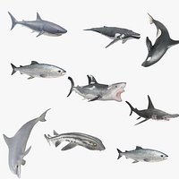 Realistic Marine Animals and Sharks Pack