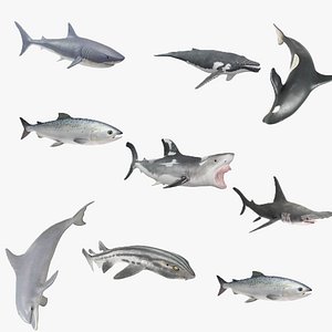 Realistic Marine Animals and Sharks Pack
