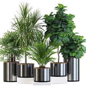 3D Plants collection 550