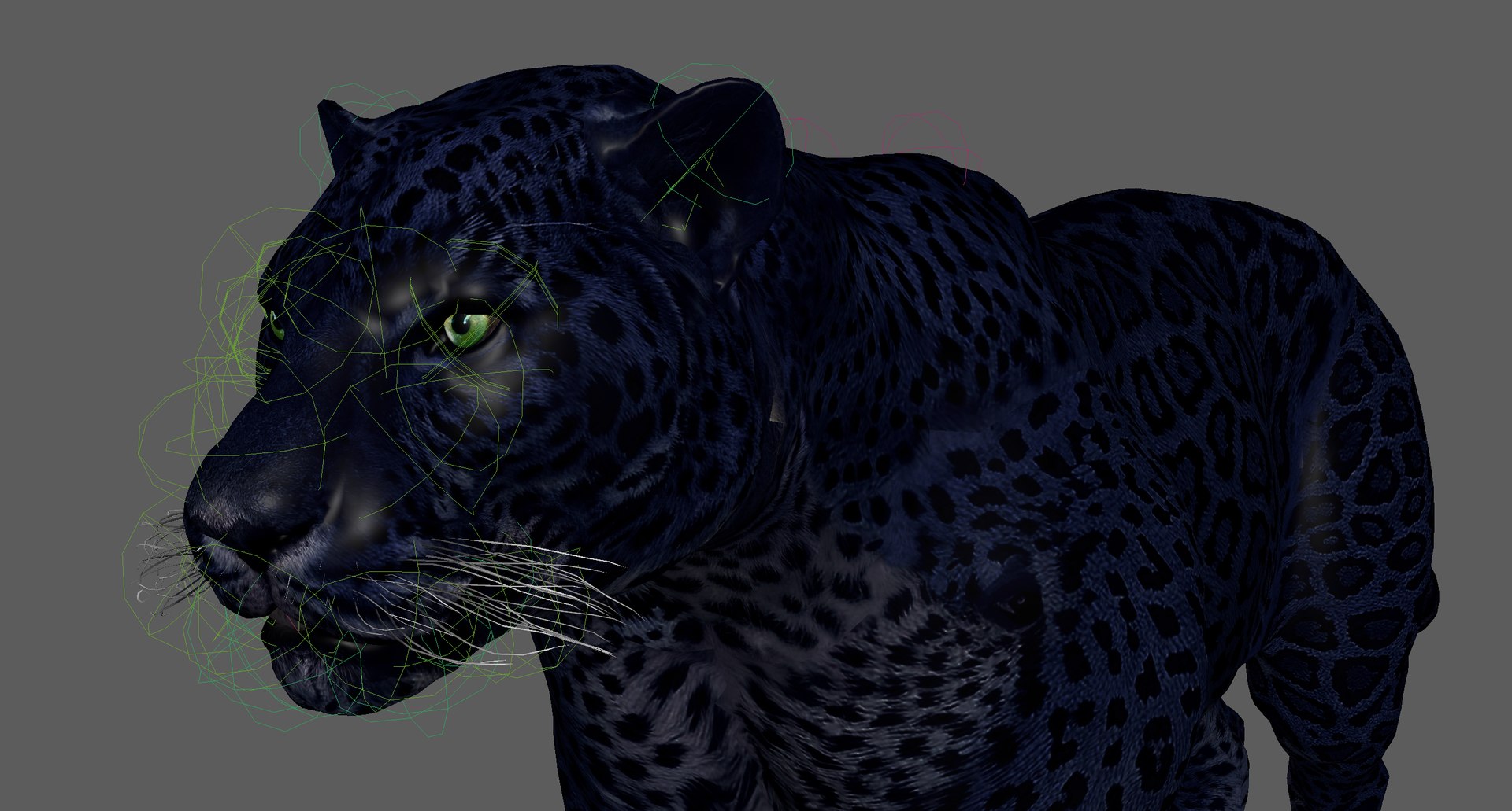 3D model Black Panther Rigged https://p.turbosquid.com/ts-thumb/mH/XxowIN/8h/screenshot20250622142832/png/1750589261/1920x1080/fit_q87/c672acf62955213d5ed77c2921cb2cf1480ec0ef/screenshot20250622142832.jpg
