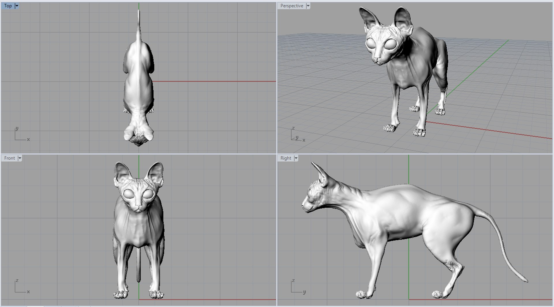 Turbosquid. Sphynx Cat Cat 3 d модель. Сфинкс 3d модель. Сфинкс в моделировании. Анатомия сфинкса.