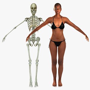3d model human skeleton female skin