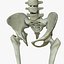 Human Skeleton / Female Skin Combo