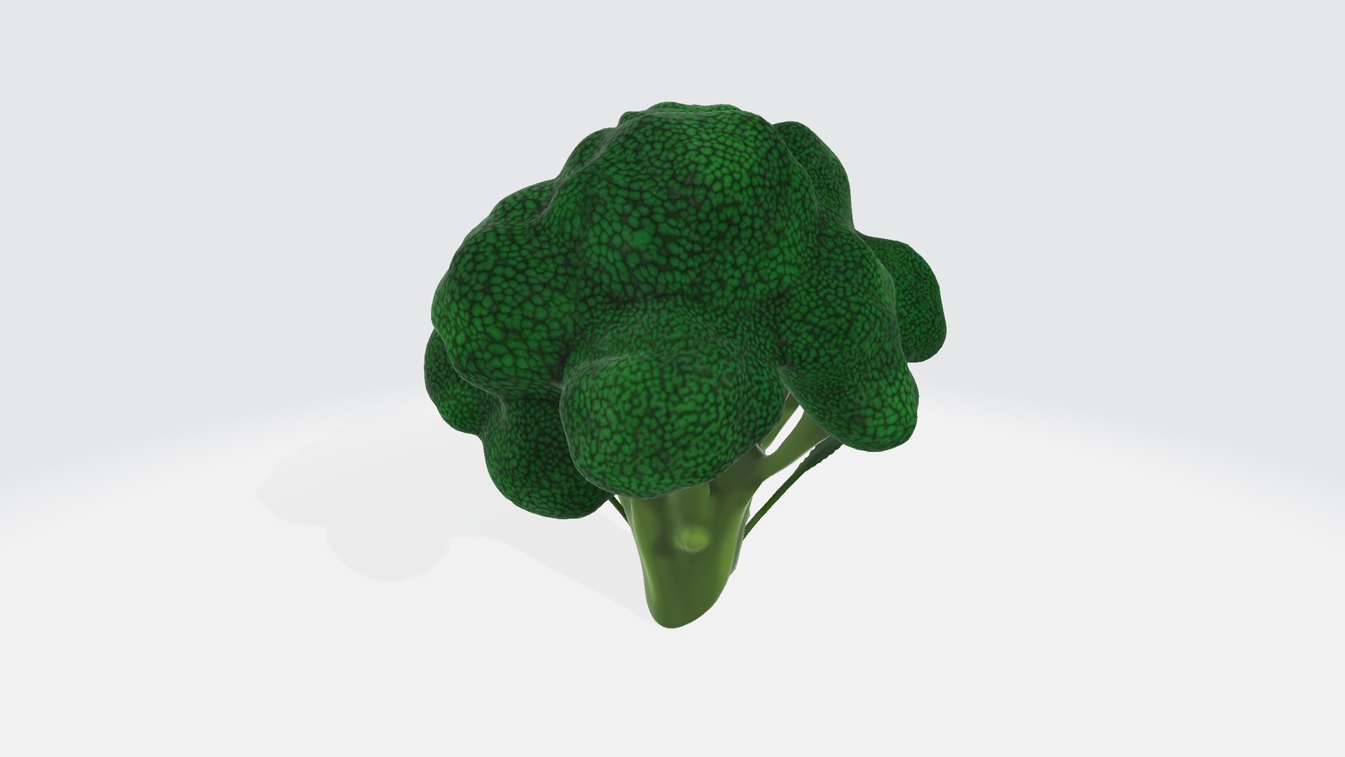 3D Model Broccoli - TurboSquid 2344234