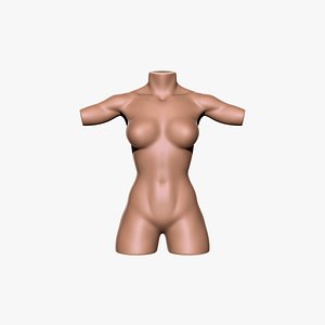 female torso 3D model