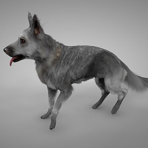 3D solid white german shepherd