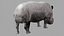 3D Rhinoceros model