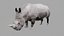 3D Rhinoceros model