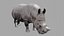 3D Rhinoceros model