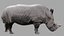 3D Rhinoceros model