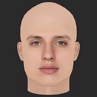 Low Poly Matt Rife Head