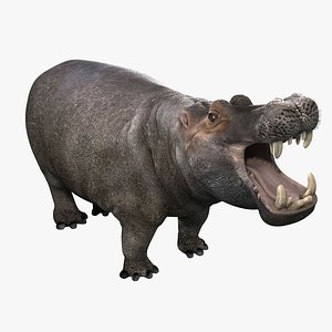 3dsmax photorealistic hippopotamus