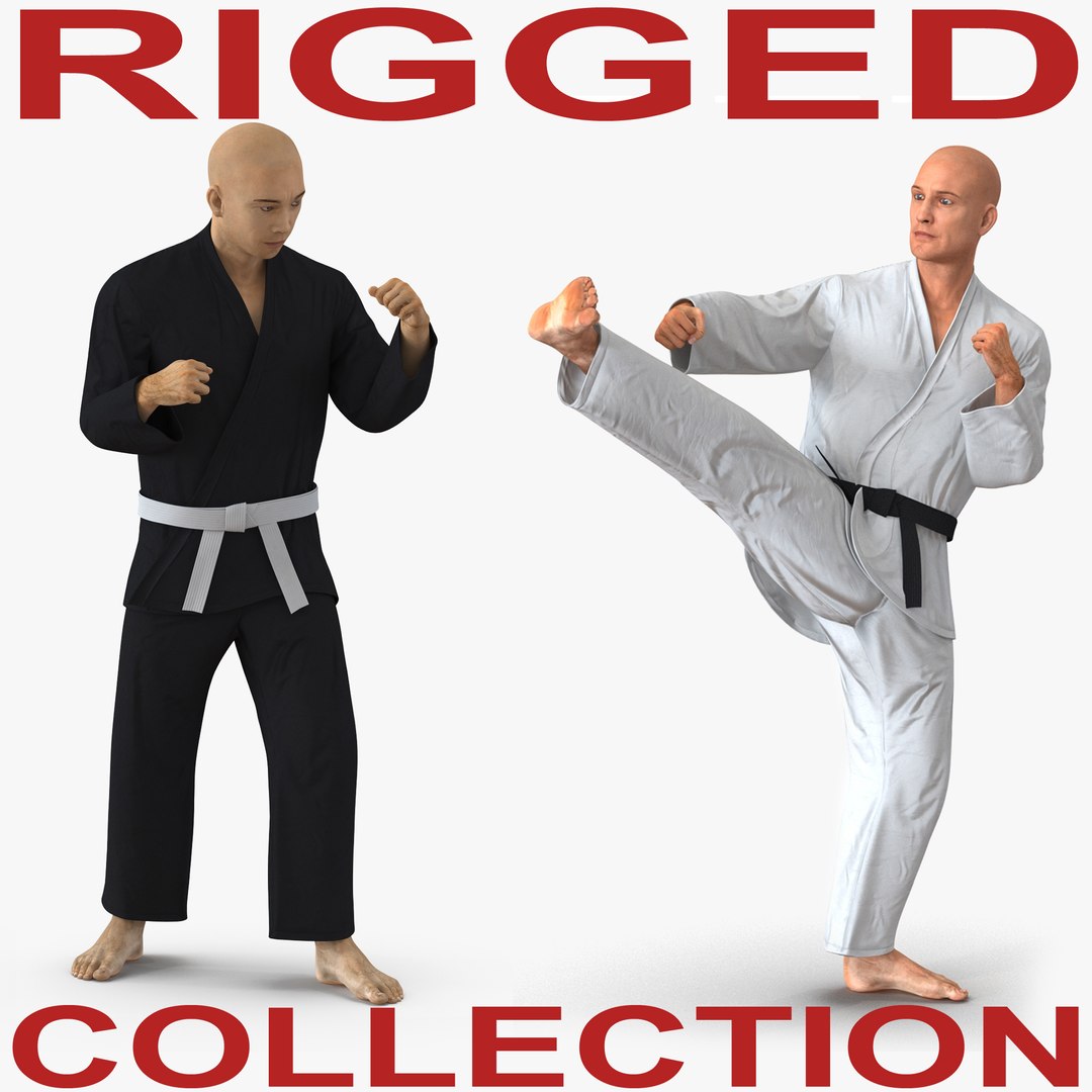 Rigged Karate Fighters Collection 3D model preview