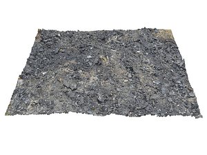 Burned Ground The Rubble