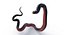 3D Red Bellied Black Snake Mesh model
