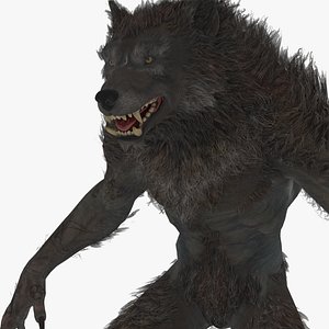 Detailed Werewolf - Rigged