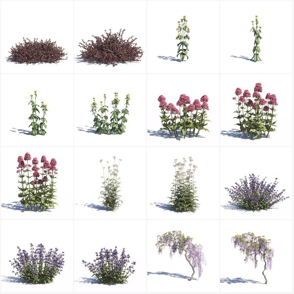 Free 3D Hanging-Flower Models | TurboSquid